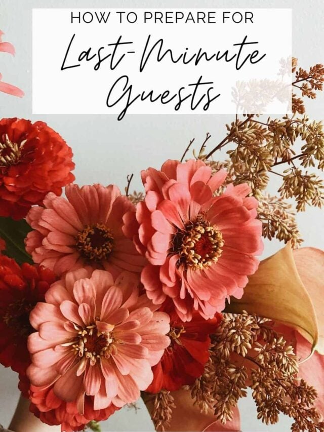 how-to-prepare-for-last-minute-guests-story-the-quick-journey