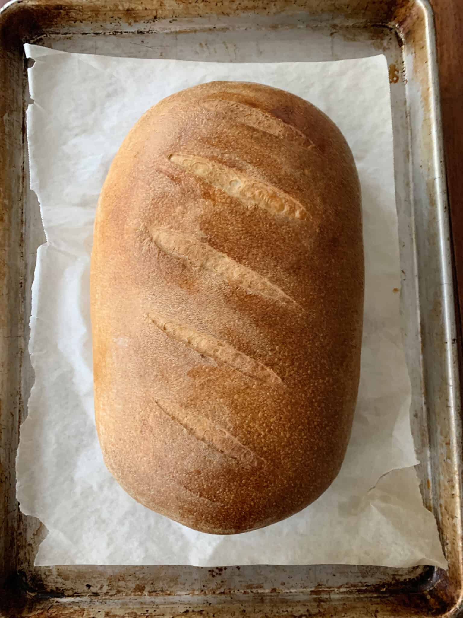 How to Make Healthy Sourdough French Bread Recipe The Quick Journey
