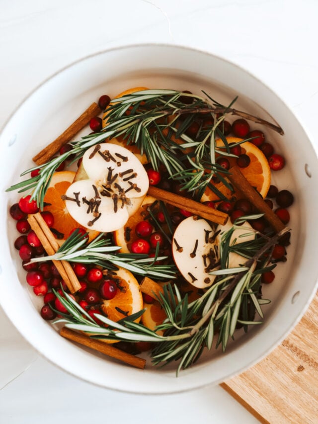 How To Make A Christmas Simmer Pot Story The Quick Journey how-to-make-a-christmas-simmer-pot-story-the-quick-journey