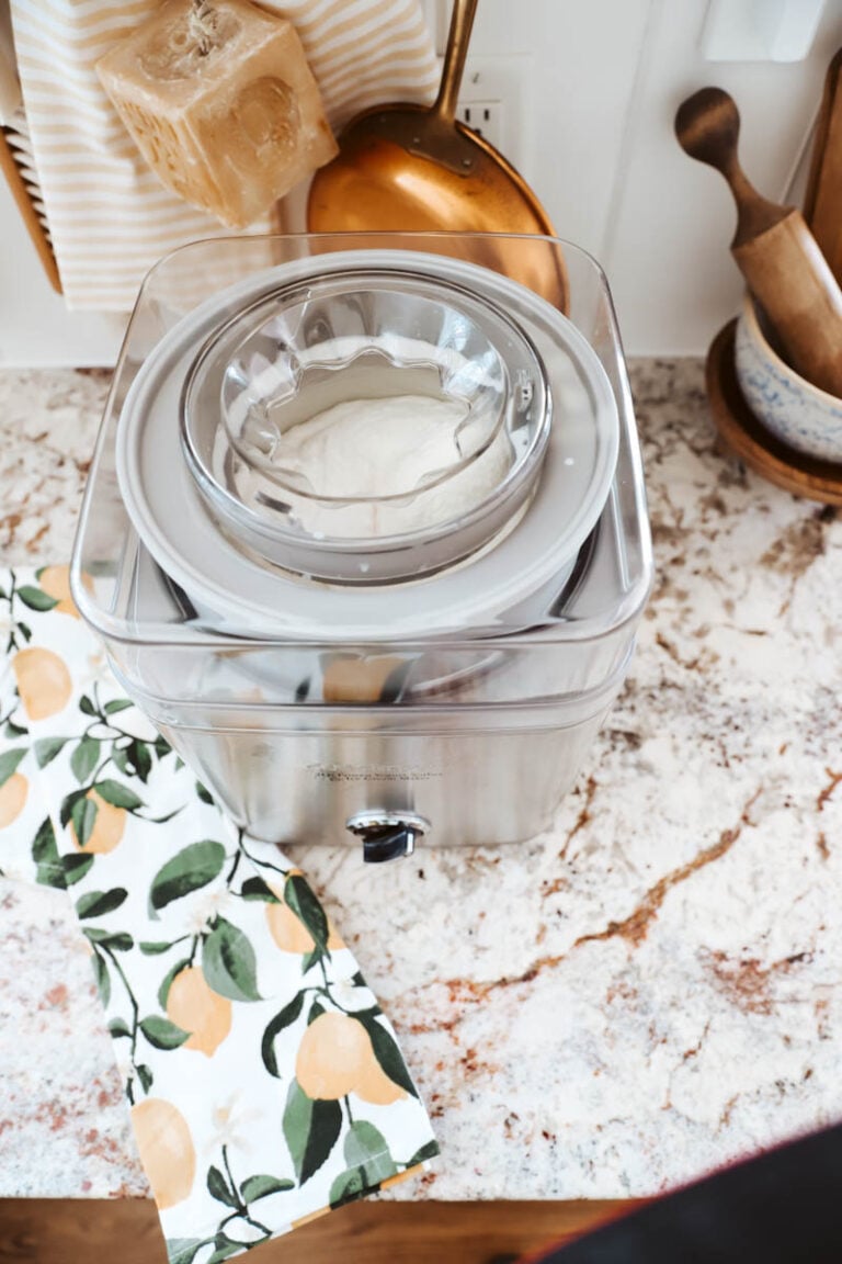 How to Make Ice Cream without Heavy Cream The Quick Journey