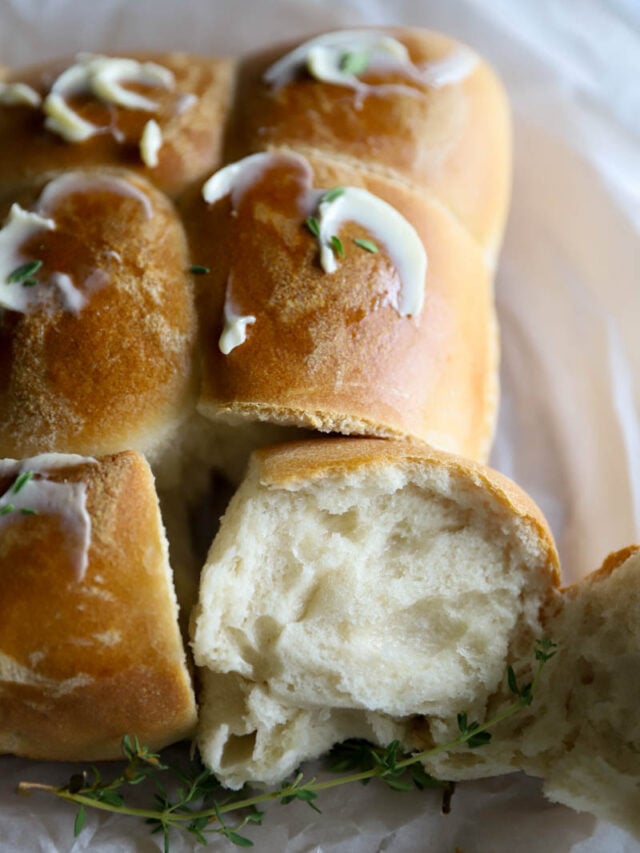 Sourdough Dinner Rolls Recipe Story The Quick Journey